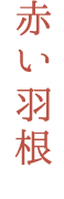 赤い羽根共同募金
